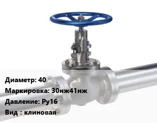 Задвижка нержавеющая 40 30нж41нж Ру16 клиновая